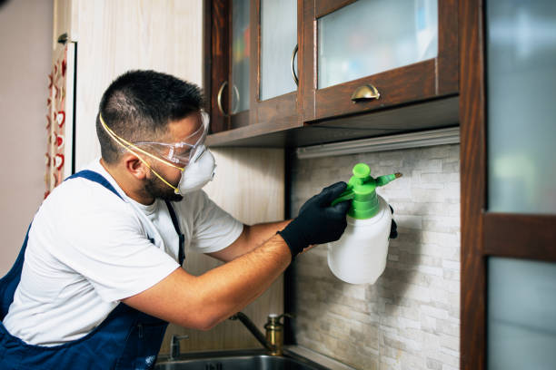 Best Commercial Pest Control Services  in Rosemount, OH