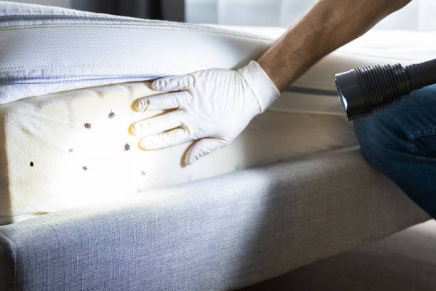 Wildlife Control Services in Rosemount, OH