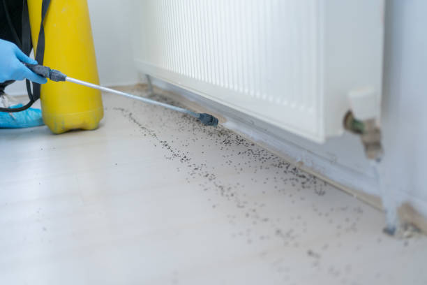 Best Bed Bug Extermination  in Rosemount, OH