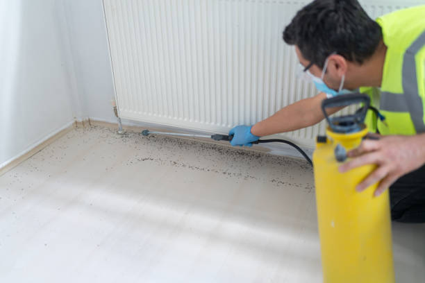 Best Residential Pest Control  in Rosemount, OH