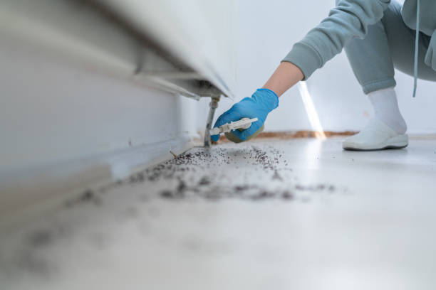 Best Insect Control  in Rosemount, OH