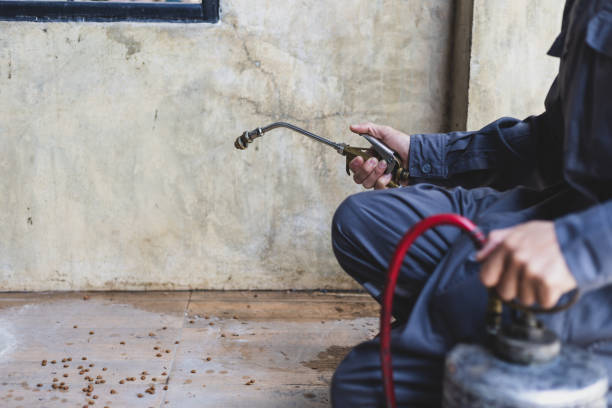 Best Best Pest Control Companies  in Rosemount, OH